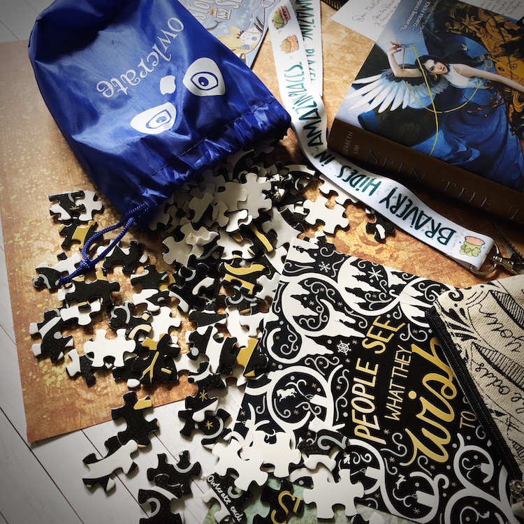 OwlCrate July 2019 puzzle