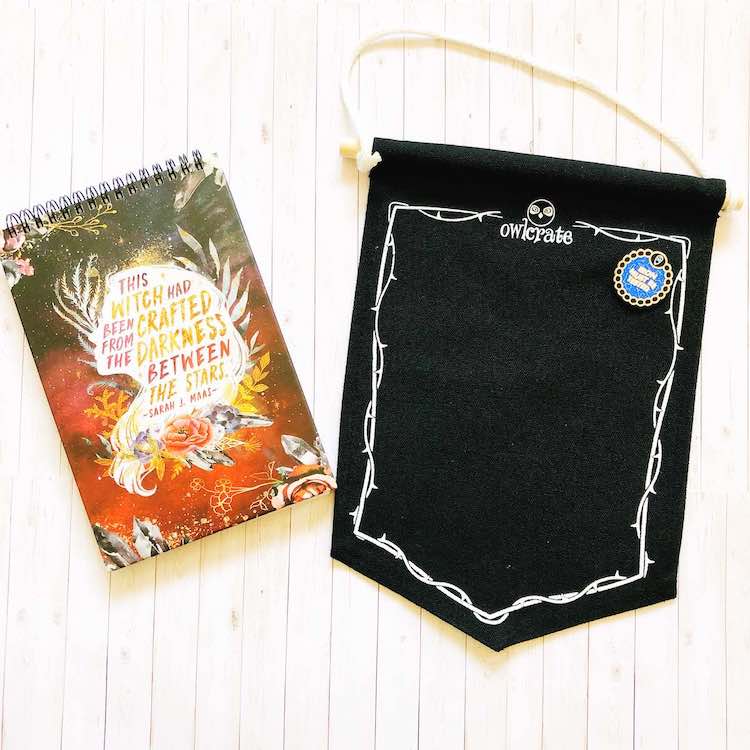 OwlCrate April 2019 banner and notepad