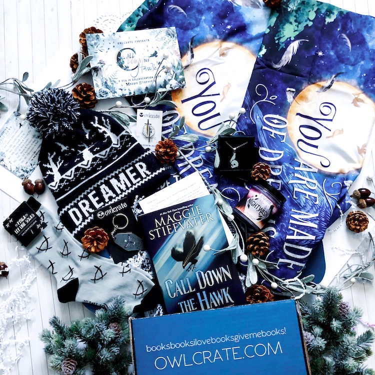 OwlCrate Call Down the Hawk Special Edition Unboxing