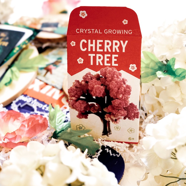 OwlCrate Jr. June 2020 Cherry Crystal Tree