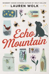 Echo Mountain book cover
